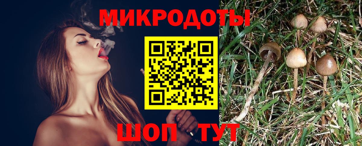 Галлюциногенные грибы MAGIC MUSHROOMS  хочу   Новокуйбышевск  Вход с VPN  Галлюциногенные грибы Psilocybine cubensis 